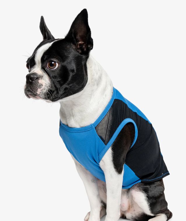 Insect Shield Airflow Tank