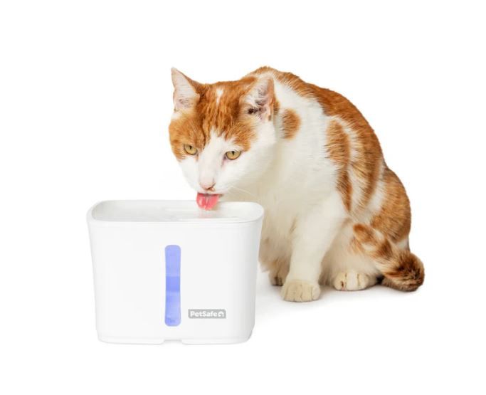 Viva 64 oz Pet Fountain