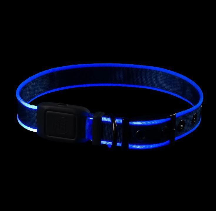 NiteDog Rechargeable LED Collar, Size: S, Color: Blue