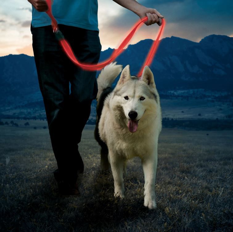 NiteDog Rechargeable LED Leash 5'