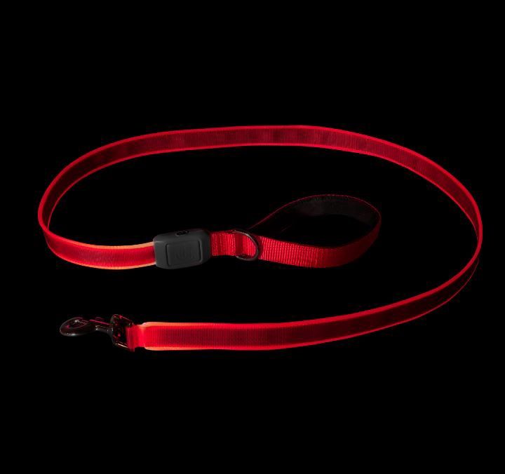 NiteDog Rechargeable LED Leash 5', Color: Red