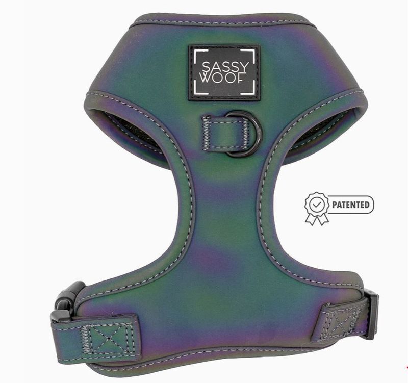 Sassy Woof Reflective Harness