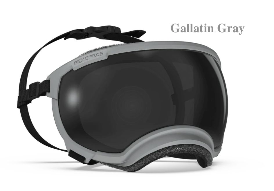 Rex Specs V2 Goggles