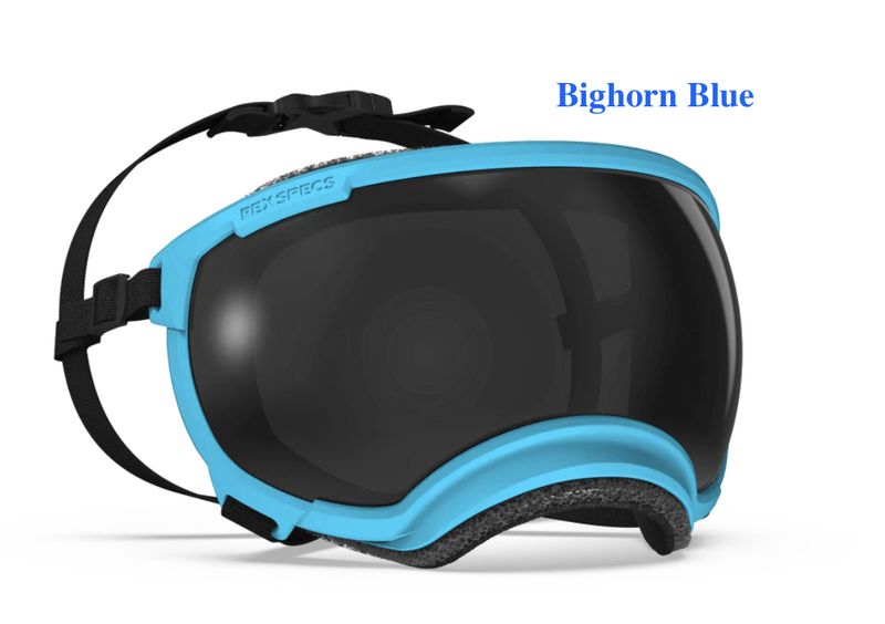 Rex Specs V2 Goggles