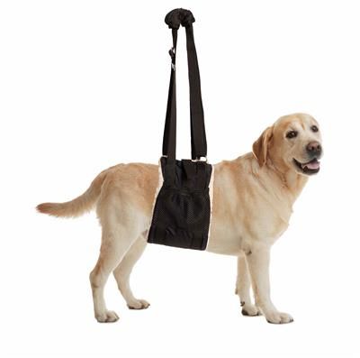 BuddyLift - Canine Support and Rehabilitation Sling