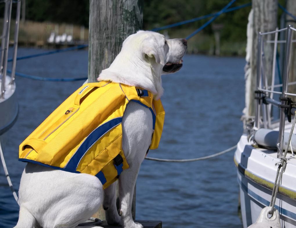 Monterey Bay Offshore Life Jacket