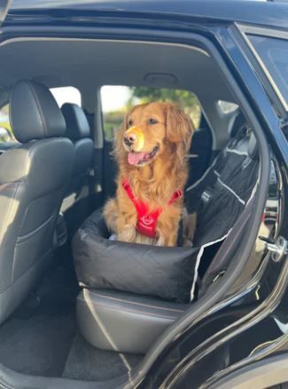 DOOG Car Seat