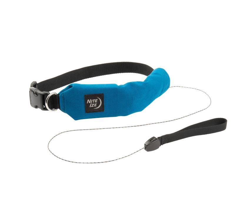 RadDog All-In-One Collar + Leash