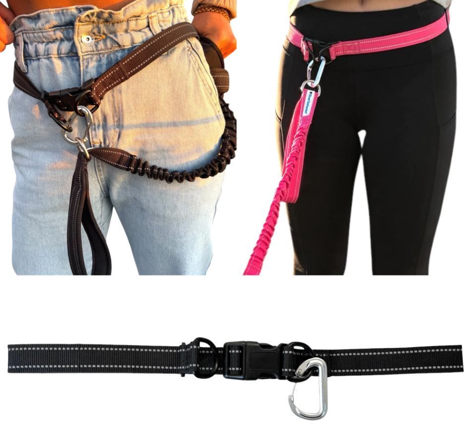 Hands Free Leash Belt