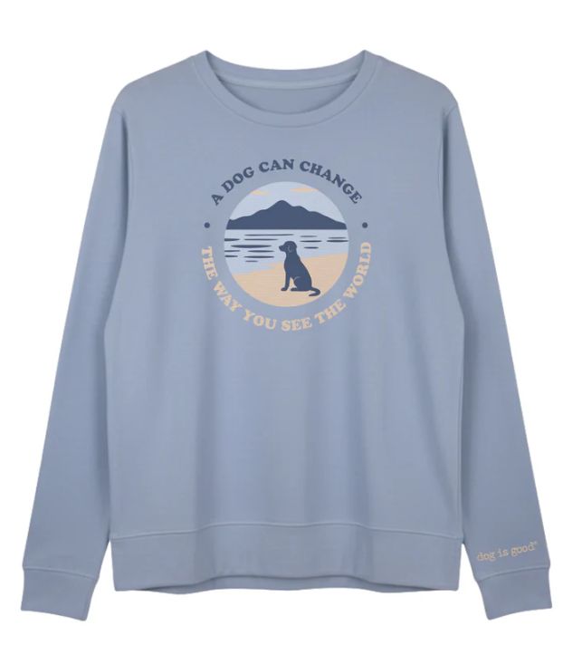 A Dog Can Change LS - disco'd