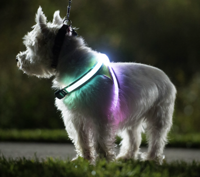 LED &amp; Visibility Gear