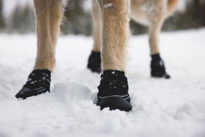 Booties