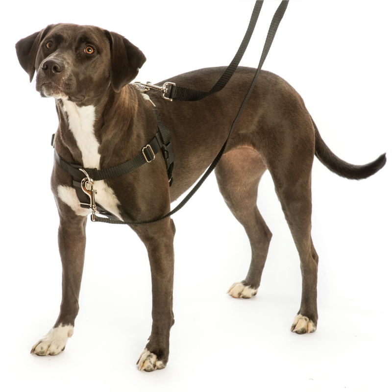 Freedom Harness 1"