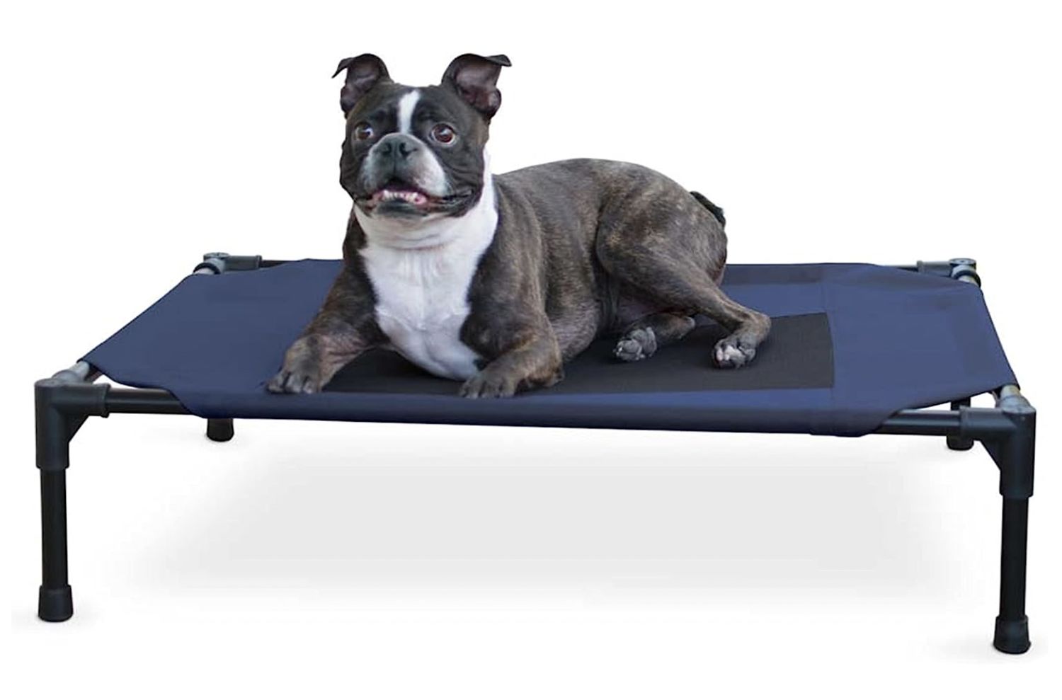 Indoor/Outdoor Pet Cot, Color: Navy Blue, Size: L