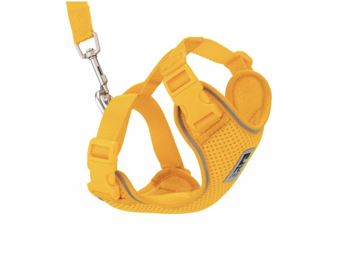 Adventure Kitty Harness - disco'd, Color: Marigold, Size: S
