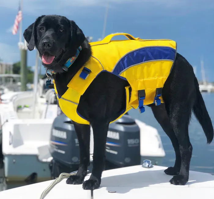 Monterey Bay Life Jacket