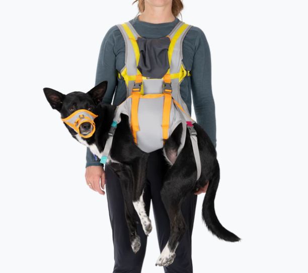 BackTrak Dog Evacuation Kit