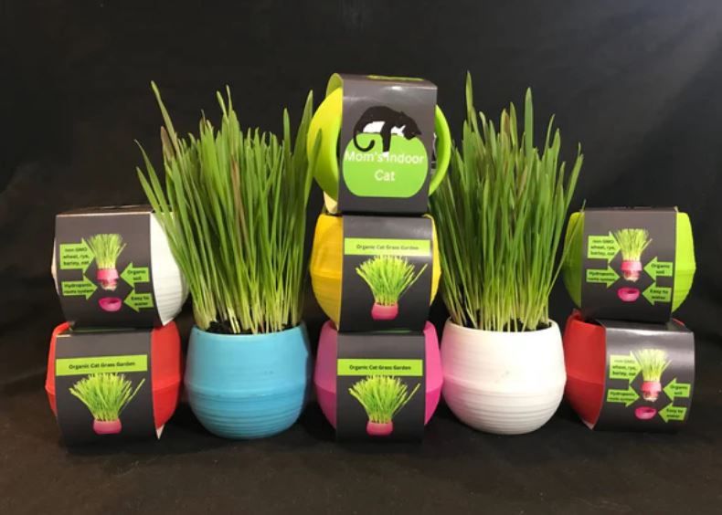 Cat Grass Garden Balls