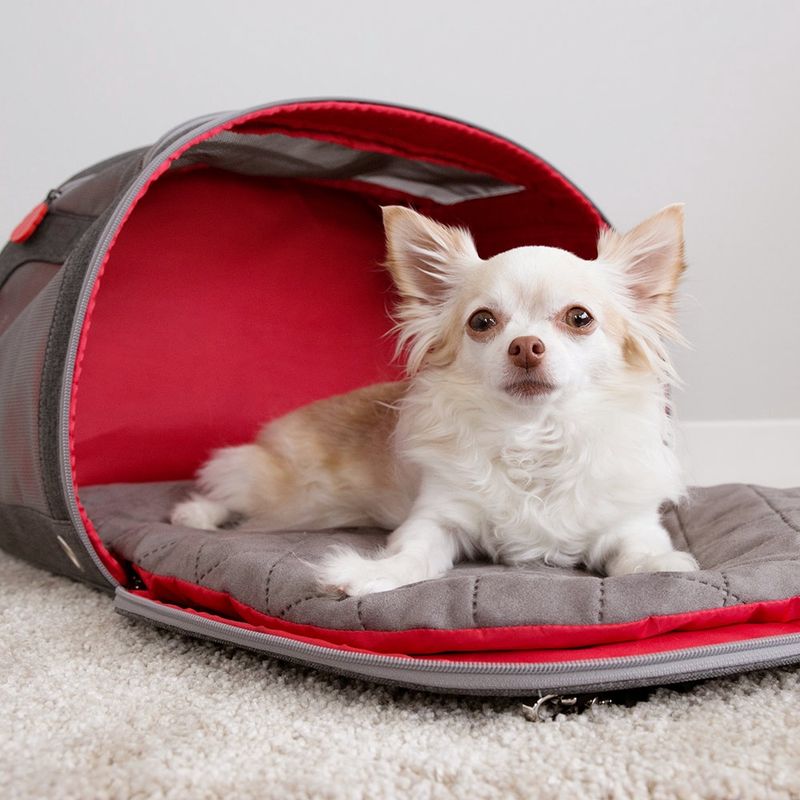 KONG 2-In-1 Pet Carrier &amp; Travel Mat