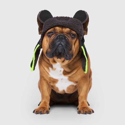 Cool Factor Aviator Hat