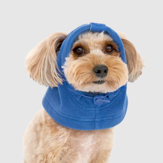 CP Fleece Balaclava, Color: Electric Blue, Size: S