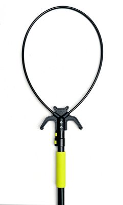 The Bat