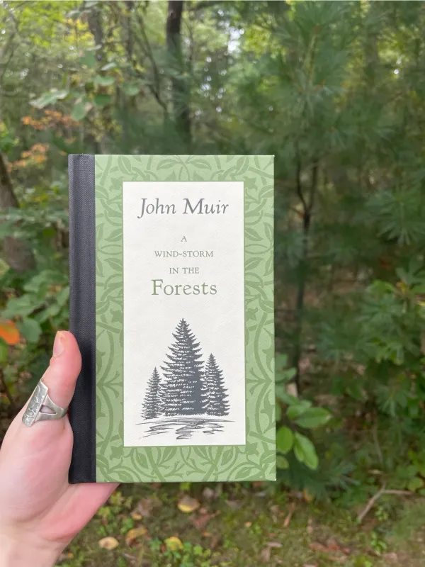 'A Wind-Storm in the Forests'