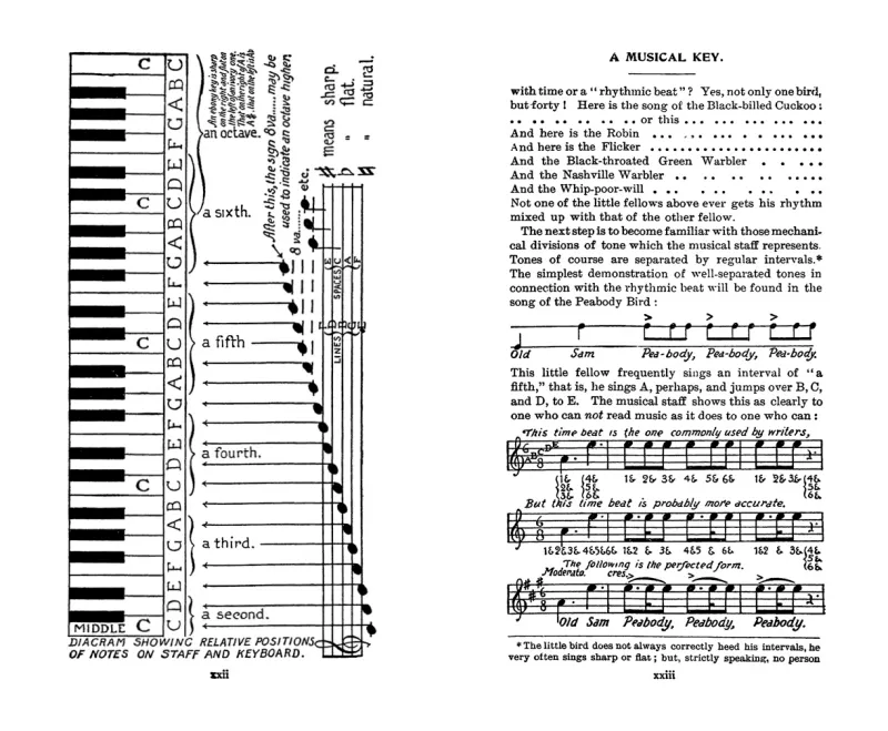 'Field Book of Wild Birds and Their Music'