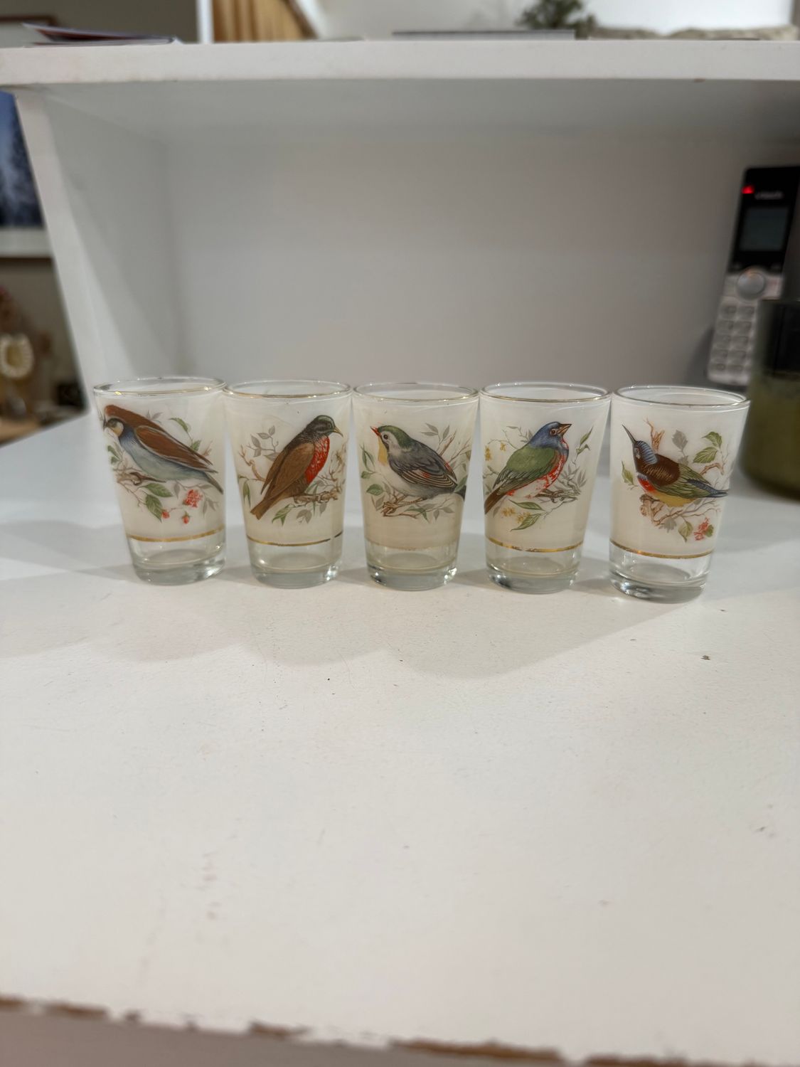 Vintage Bird Shot Glasses (Set of 5)