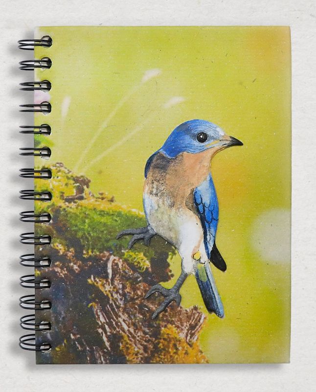 Ellie Pooh Notebook -  Eastern Bluebird