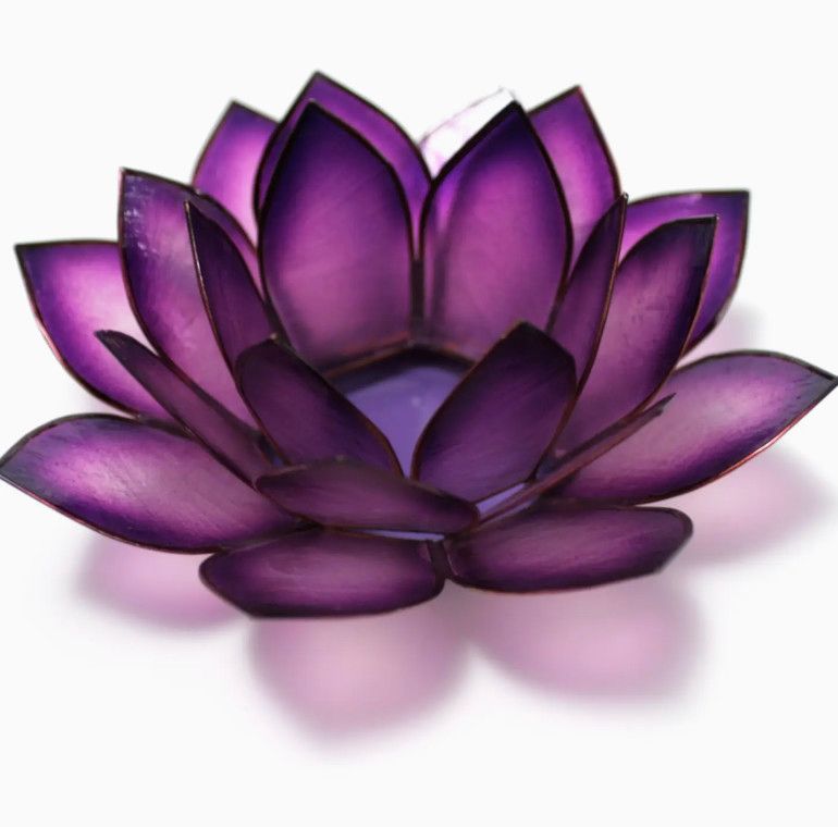 Capiz Lotus Light - Passion
