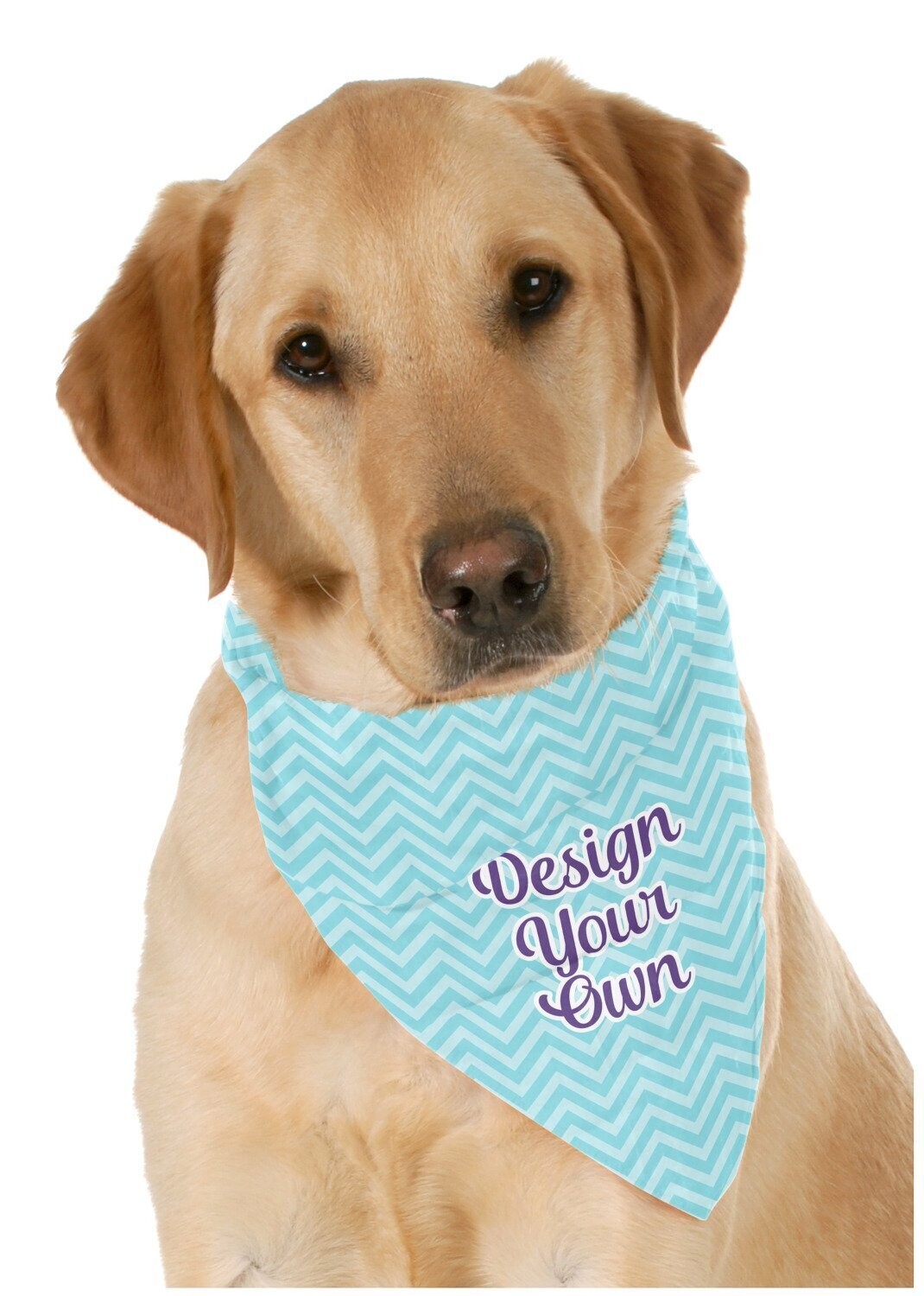 Pet Bandana Scarf