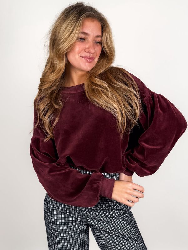 Jewel Velour Sweatshirt