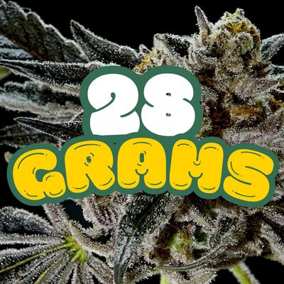 28g