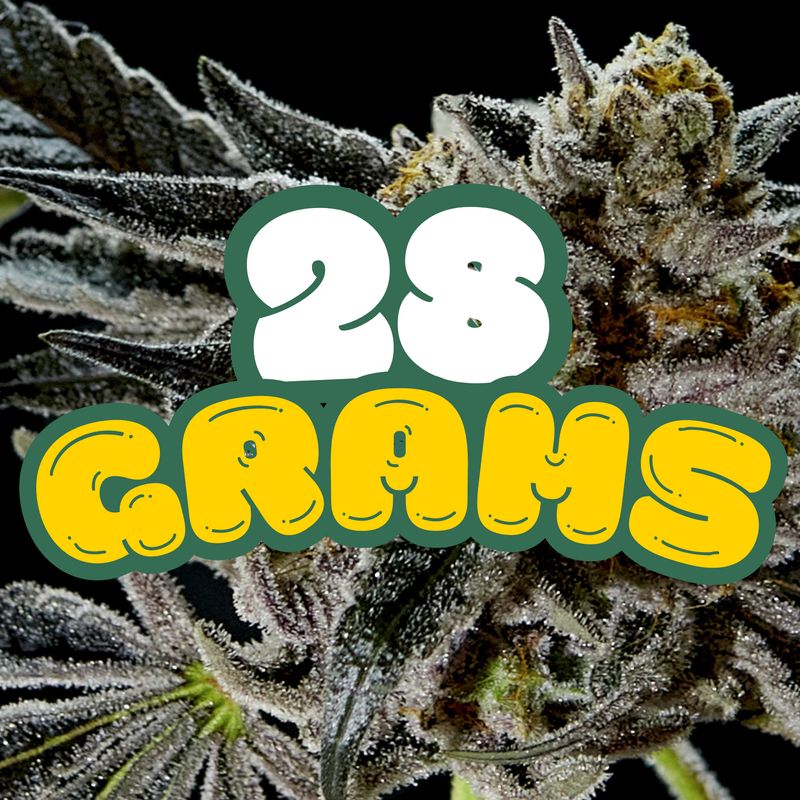 28g