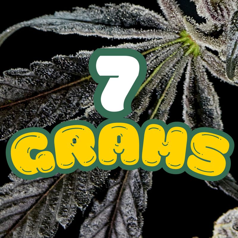 7g