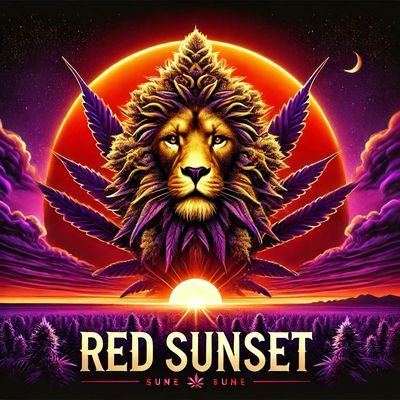 Red Sunset 28G