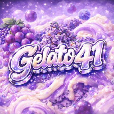 Gelato 41 28g