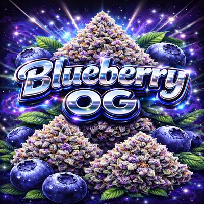Blueberry OG 28g
