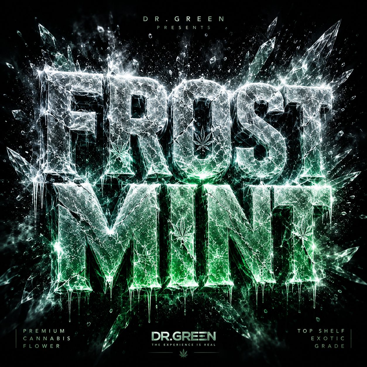 Frost Mint 28G