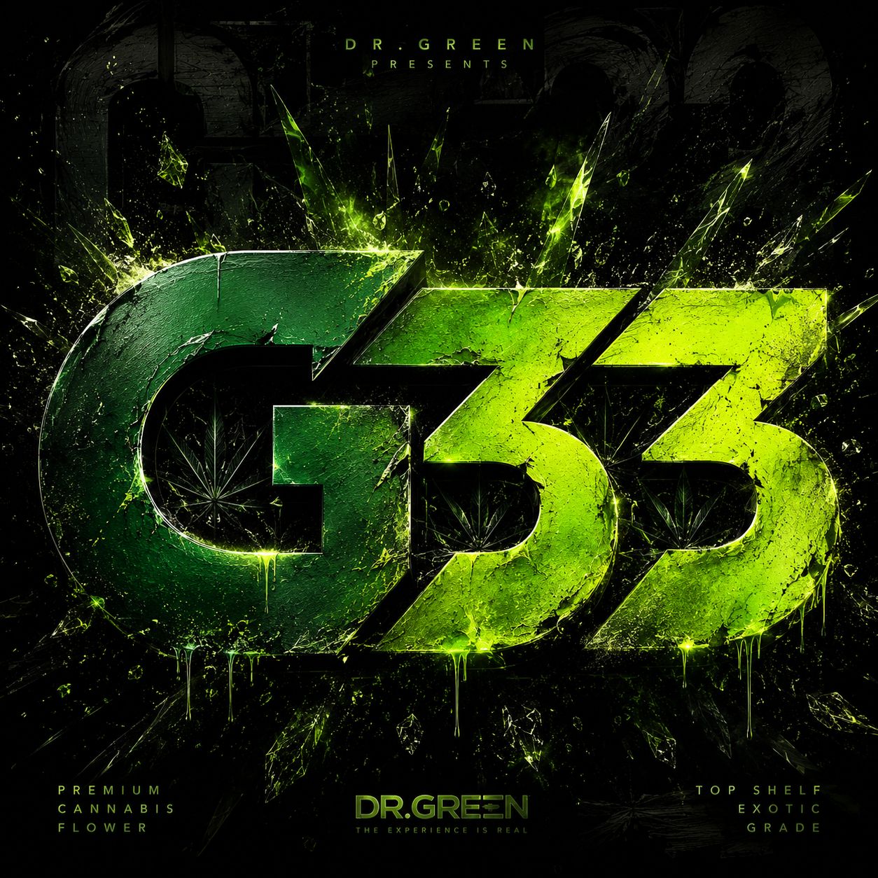 G33 28g
