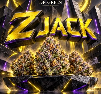 Z Jack 28g