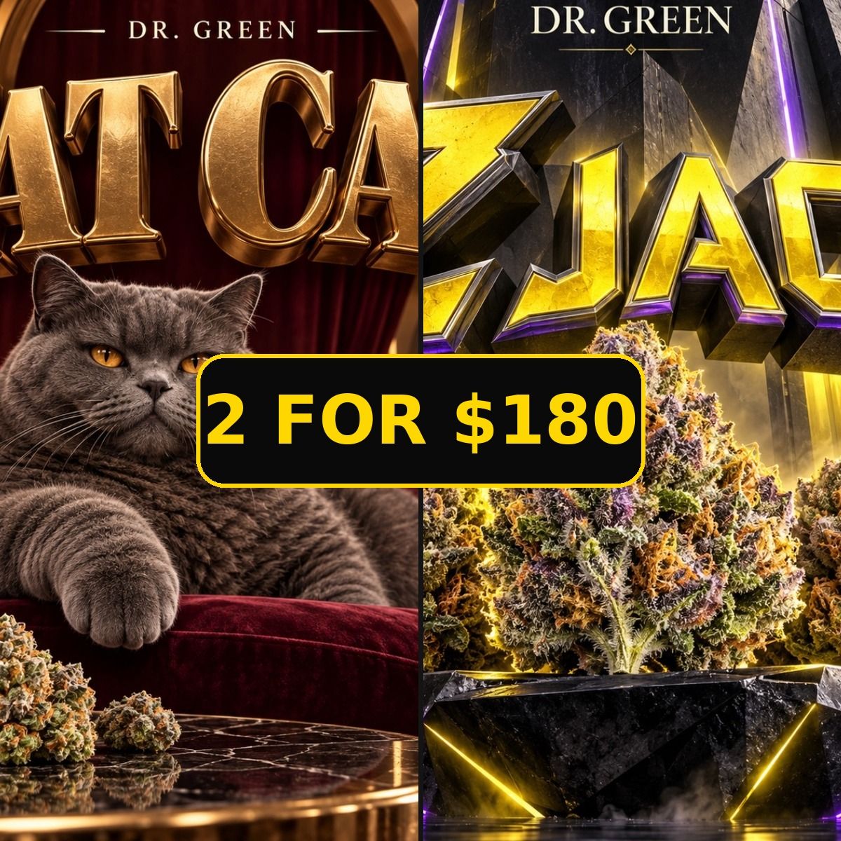 Fat Cat + Z Jack Duo