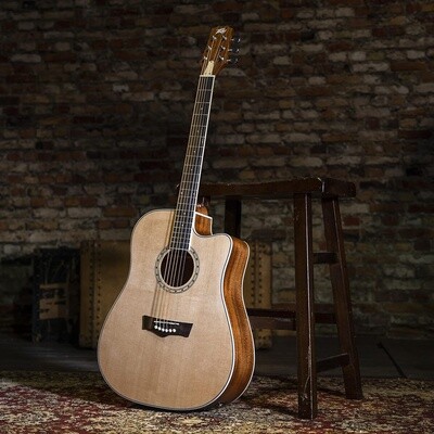 DW 2CE ST CUTAWAY  ELE W/C