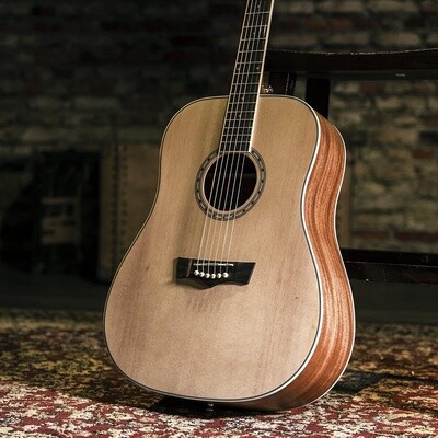 DW 2 SOLID TOP DREADNAUGHT GTR