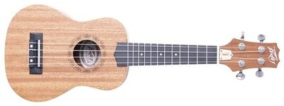 STUDENT UKULELE