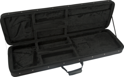 CHARVEL® BASS FOAM CORE CASE