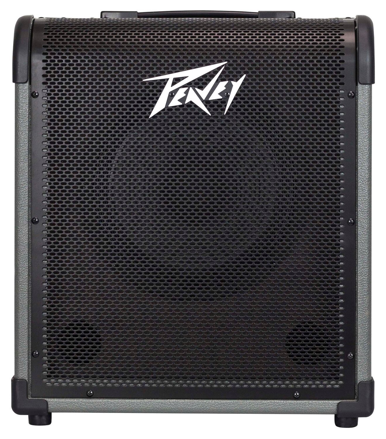 MAX® 100 100-WATT BASS AMP COMBO