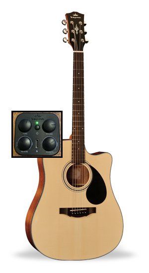 D3-130A NATURAL W/ ACOUSTIFEX K-10 PICKUP