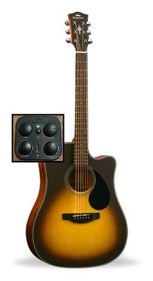 D3-130A-SB SUNBURST W/ ACOUSTIFEX K-10 PICKUP
